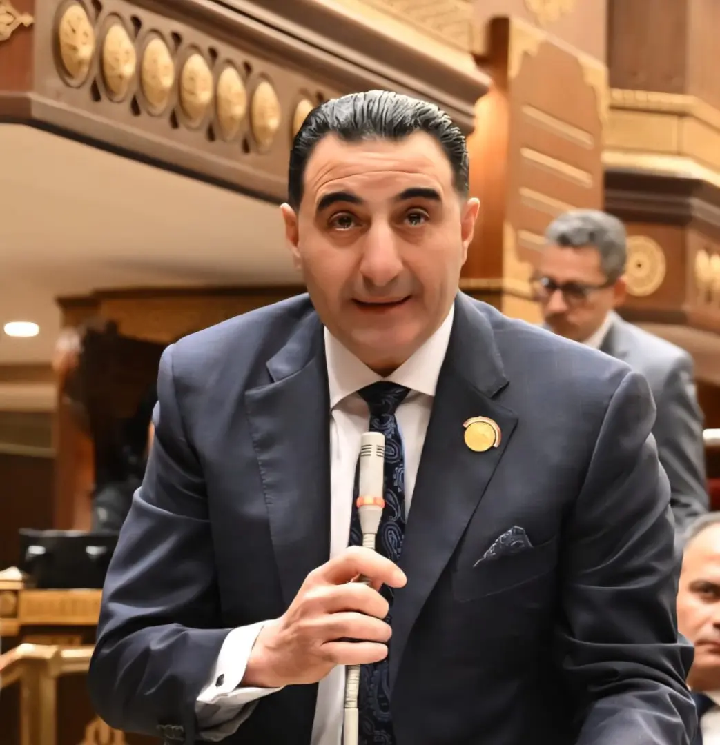 برلمانية المؤتمر بالشيوخ تعقيبا على تراجع البطالة: الأهم توفير فرص عمل حقيقية للشباب
