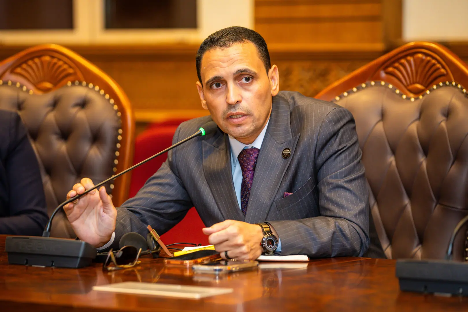 برلماني:  العلاقات المصرية  السعودية متجذرة.. والمصريون في الخارج حلقة مهمة لمد جسور التواصل بين البلدين