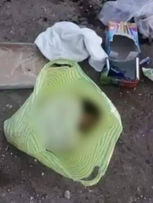 «شنطة سوق» تكشف الجريمة.. العثور على جثمان طفل 3 سنوات به آثار تعذيب بالمنوفية