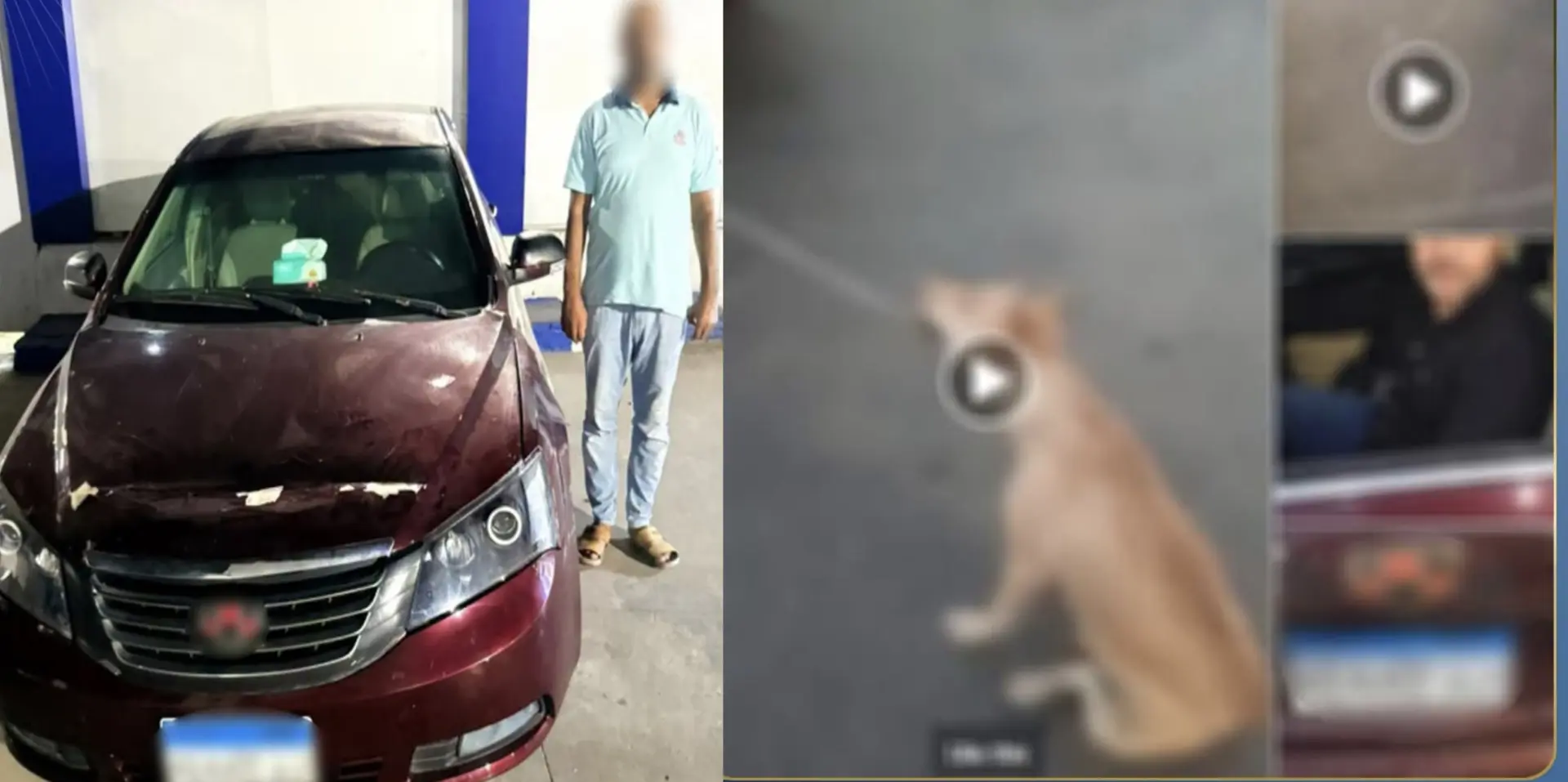 «عض عمه».. الداخلية تضبط شخصًا سحل كلبًا خلف سيارته في الإسكندرية