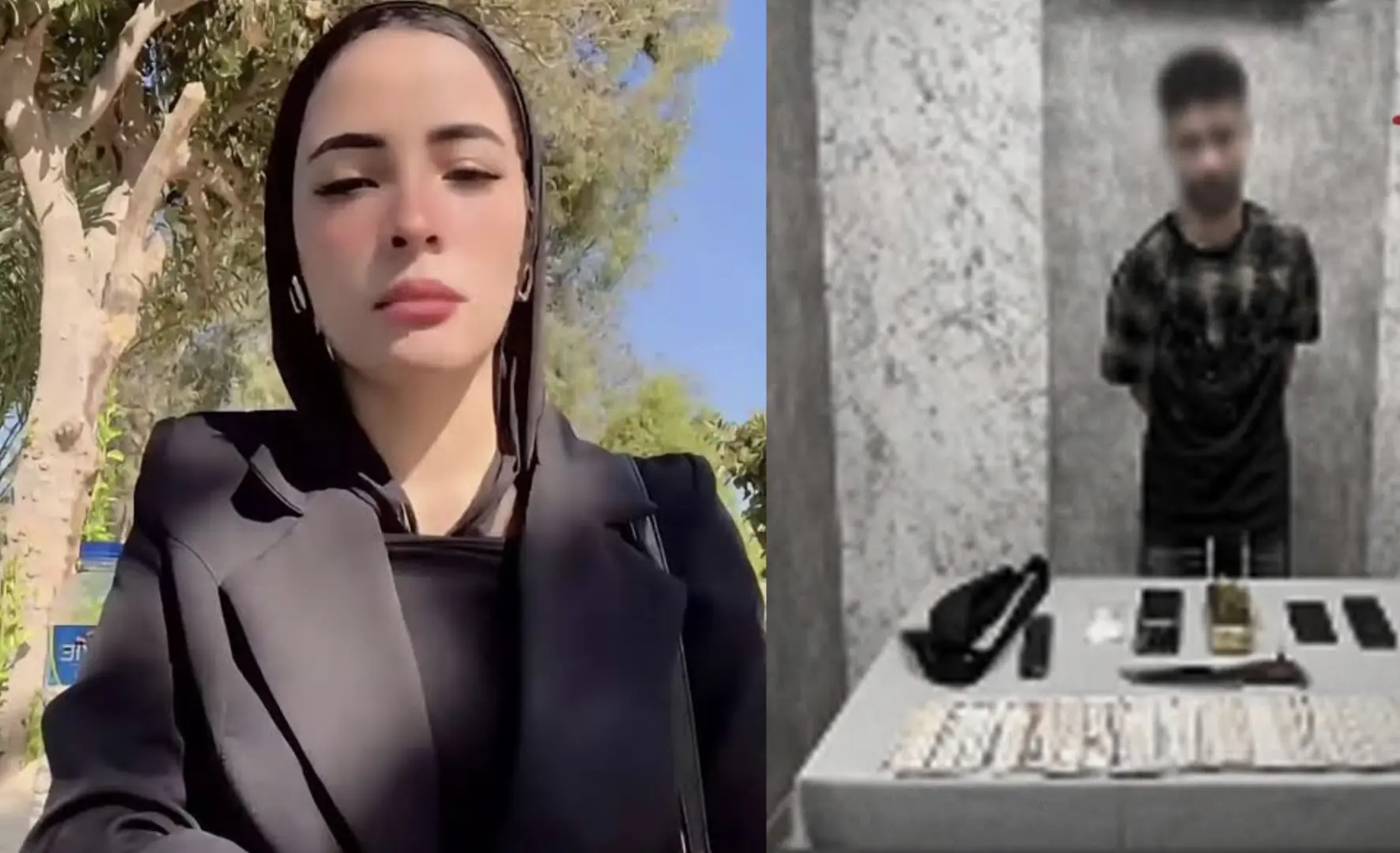 من فيديوهات اقتحام المنزل إلى النيابة.. القبض على دينا عزت والداخلية تكشف قصة زوجها