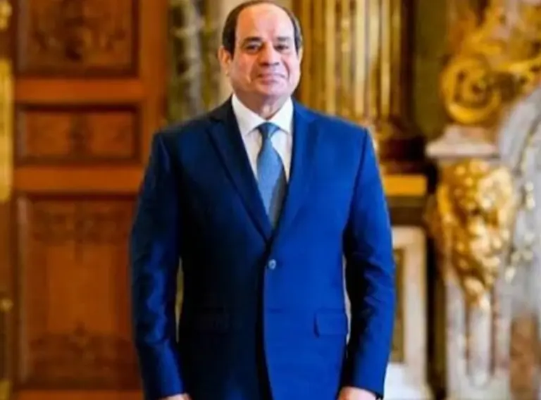 السيسي يستقبل مؤسس «دانجوتي» لبحث استثمارات جديدة في الطاقة والأسمدة والأسمنت