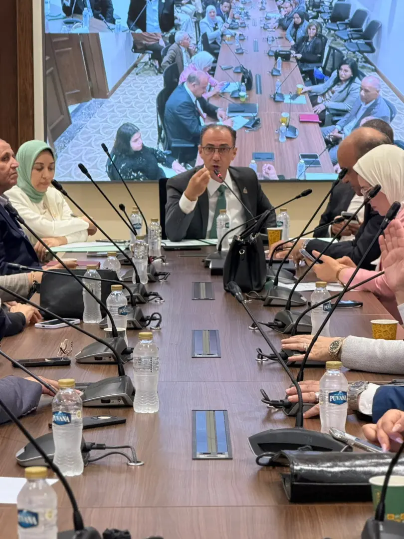 مجلس الشيوخ يحسم غدا تشكيل اللجان النوعية