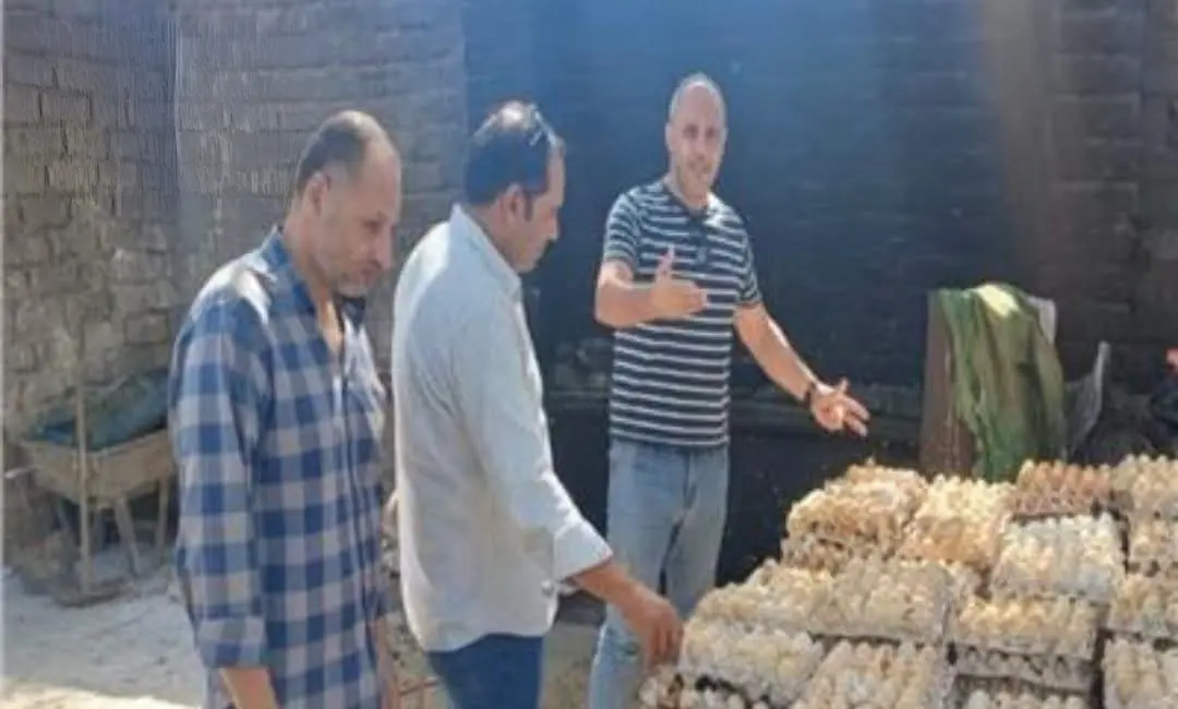 ضبط 105 آلاف بيضة فاسدة قبل توريدها لمصانع الأعلاف والحلويات بالغربية