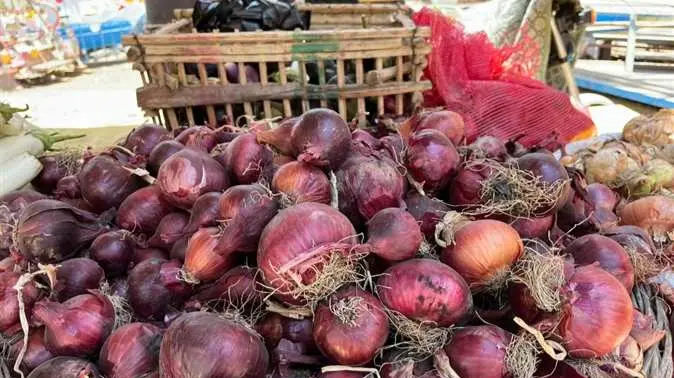 ارتفاع أسعار البصل في الأسواق.. تعرف على الأسباب وموعد الانخفاض
