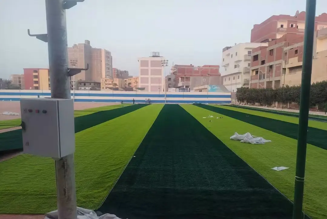 حلم شباب حوش عيسى يتحقق.. بدء فرد النجيل الصناعي بالملعب
