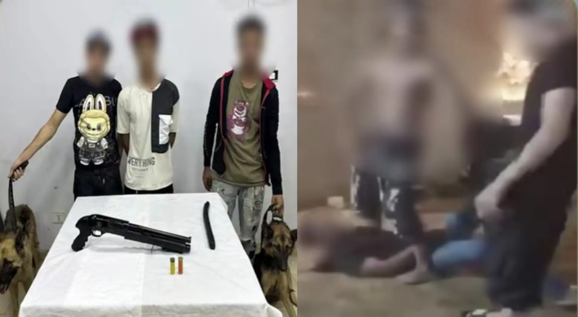 استدرجوه إلى مزرعة وروّعوه بالكلاب.. الداخلية تكشف تفاصيل الاعتداء على سائق بالجيزة