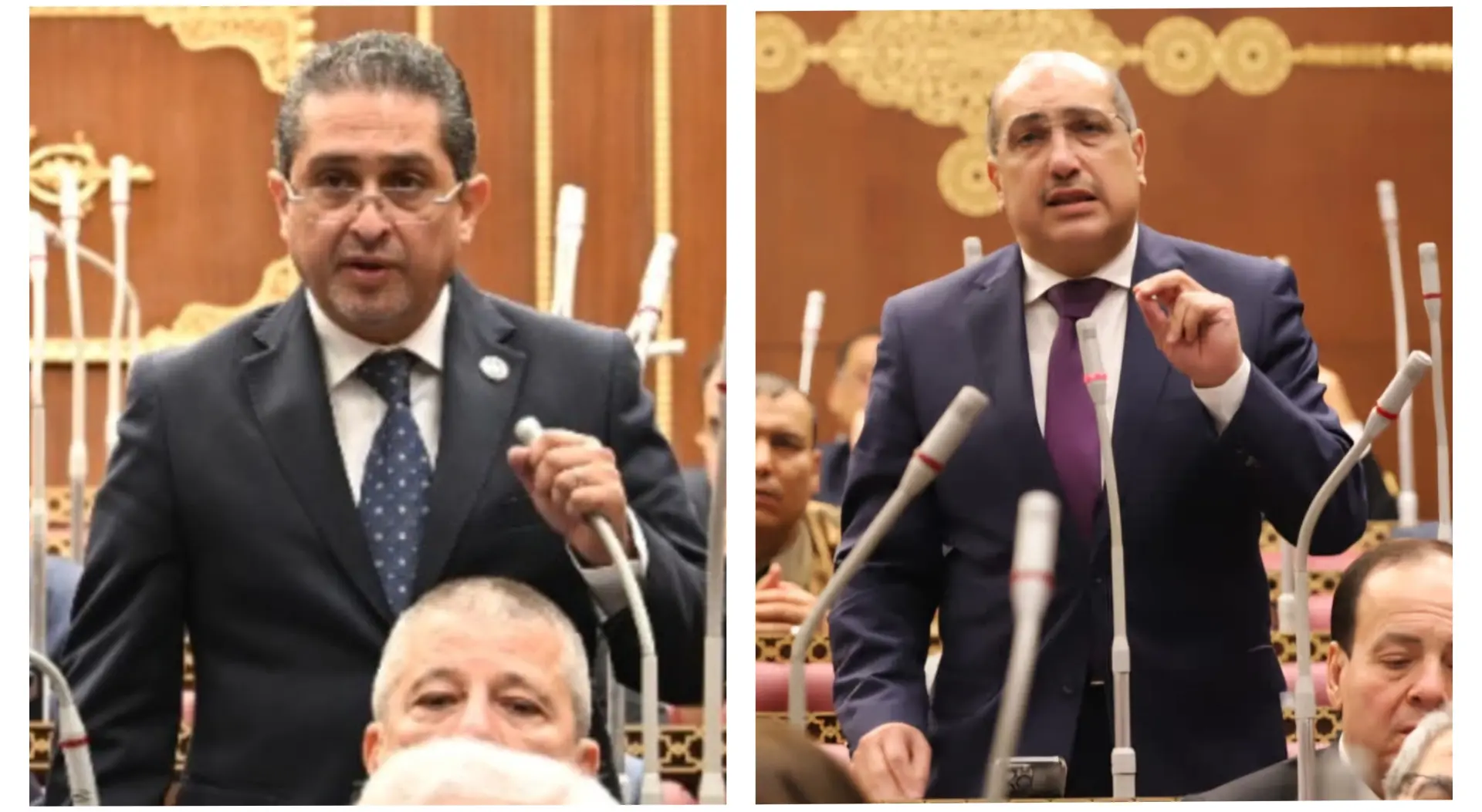 إيهاب وهبة رئيسًا للهيئة البرلمانية لحزب الشعب الجمهوري بالشيوخ وكريم سالم نائبًا