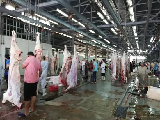 الزراعة: ذبح 7681 أضحية بالمجازر الحكومية مجانًا في ثالث أيام عيد الأضحى