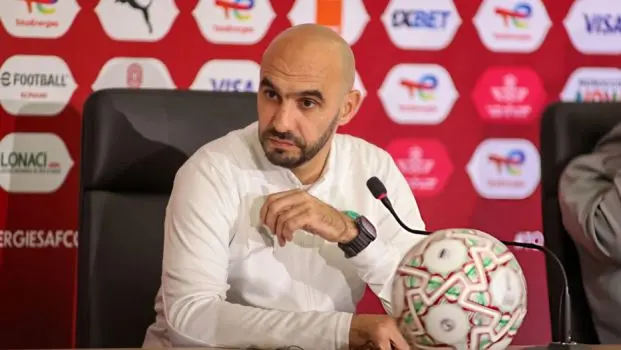وليد الركراكي يقترب من تدريب فينورد الهولندي