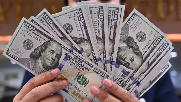​شهد سعر الدولار اليوم أمام الجنيه المصري موجة من الهبوط الجماعي في مستهل التعاملات الصباحية لليوم الأربعاء 10 يونيو 2026