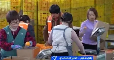 خبير اقتصادي: حجم تراكم الديون العالمية يقفز إلى 352 تريليون دولار وسط سياسات التشديد النقدي