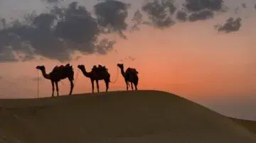 من غار ثور إلى الدولة الإسلامية.. كيف غيّرت الهجرة مجرى التاريخ؟ - 166753 1