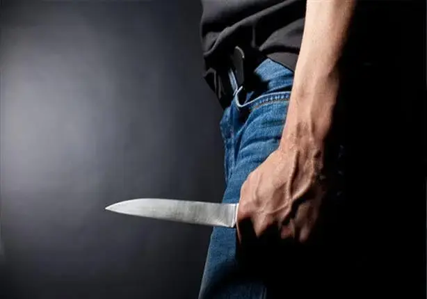 قتل أمه بـ35 طعنة وهرب.. تفاصيل الساعات الأخيرة في حياة ربة منزل داخل شقة بإمبابة