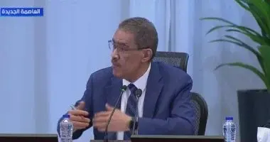 ضياء رشوان: مصر تدعو لعقد اجتماع عربي عاجل لمواجهة الشائعات وحملات التشويه