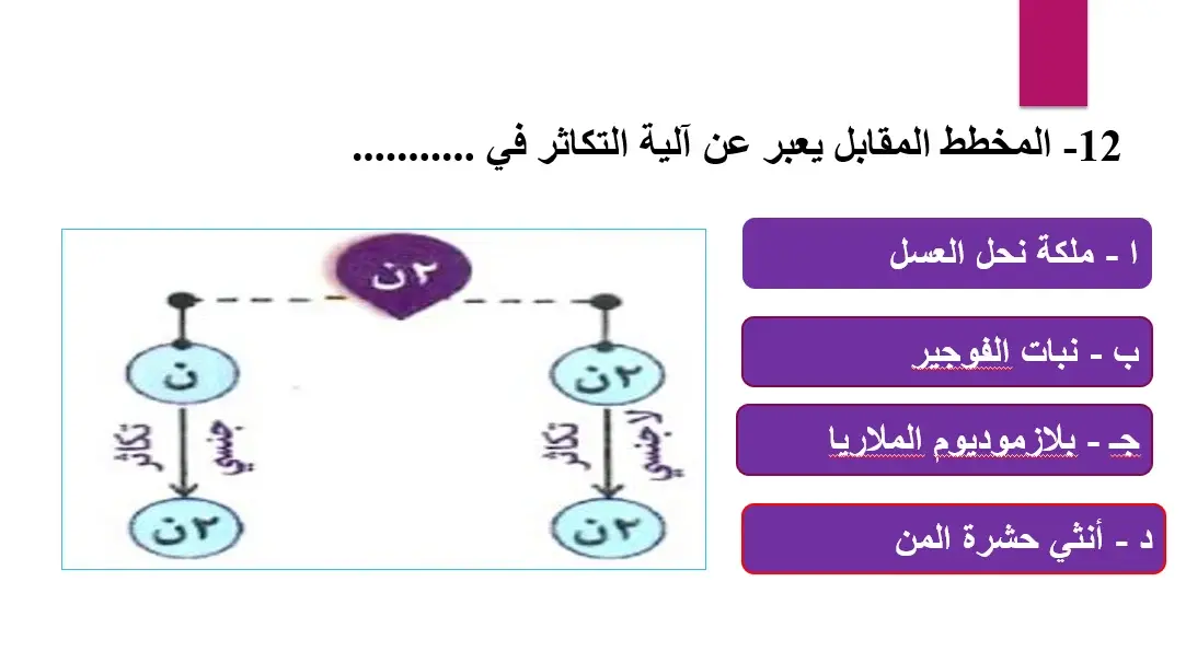 قبل امتحان الأحياء.. اختبر نفسك بأهم أسئلة الثانوية العامة 2026 - 214605 2