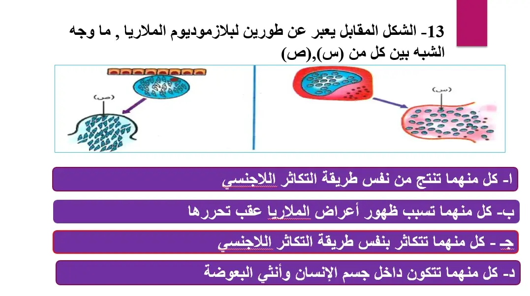 قبل امتحان الأحياء.. اختبر نفسك بأهم أسئلة الثانوية العامة 2026 - 220189 3