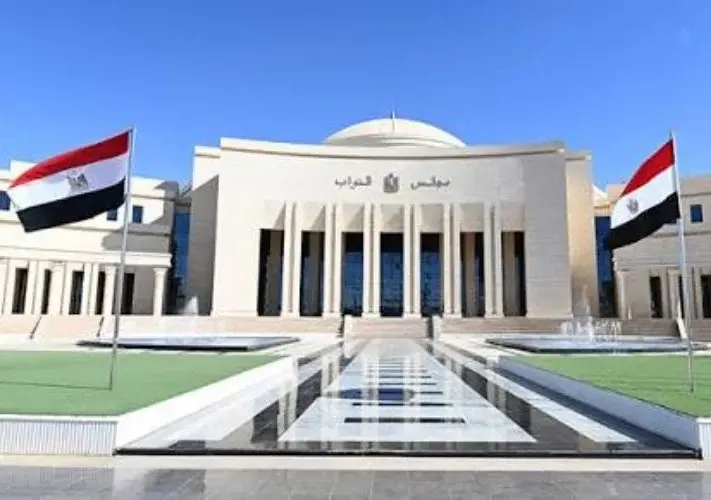 الإجراءات الجنائية على طاولة النواب.. هل يتأجل التطبيق؟