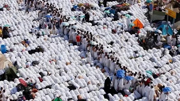 التضامن: تفويج أكثر من 5600 حاج من الجمعيات الأهلية إلى الأراضي المقدسة استعدادًا لموسم الحج