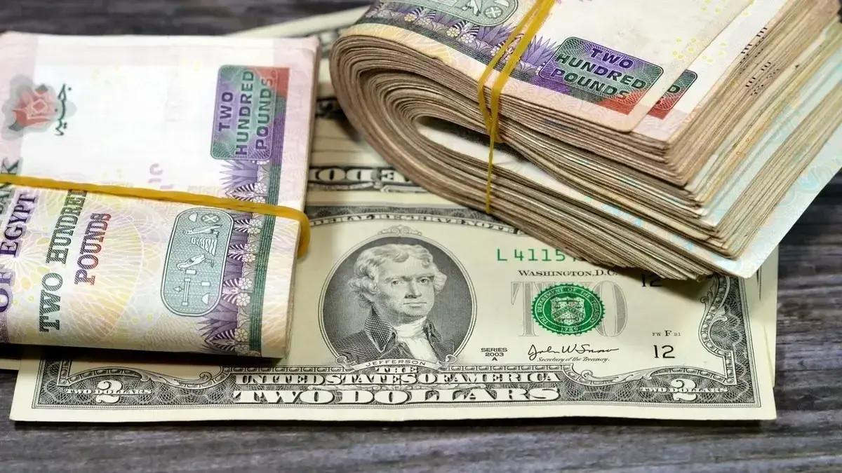 سعر الدولار اليوم بمصر بعد سحب المركزي 23.25 مليار دولار من البنوك