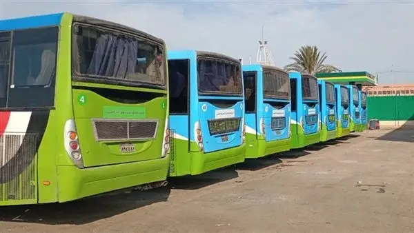 تشغيل حتى الفجر وزيادة الأتوبيسات.. خطة مكثفة للنقل العام بالإسكندرية خلال عيد الأضحى