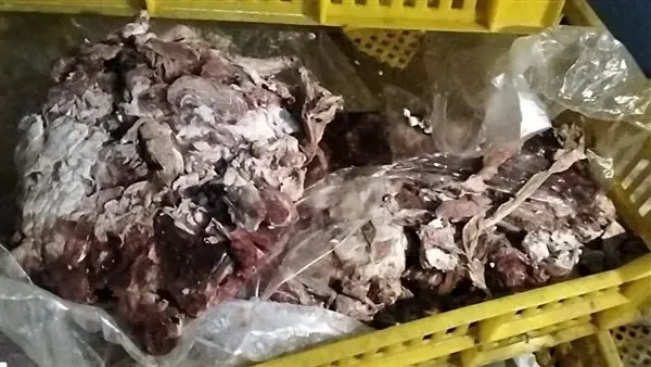 ضبط 3 أطنان أغذية فاسدة داخل منشآت غذائية في بورسعيد