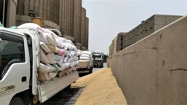 إحباط محاولة تهريب 77 طن قمح محلي داخل مقطورة بطهطا