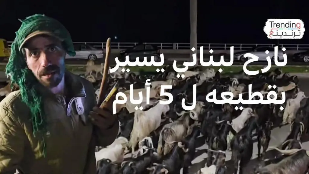 راعٍ لبناني يقطع الفيافي مع قطيعه هرباً من نيران الجنوب