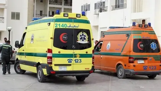 تسمم 4 أشخاص في بولاق الدكرور بعد تناول وجبة سمك «رنجة»