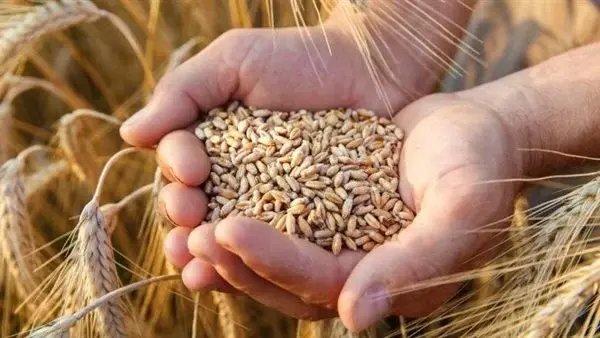 توترات الشرق الأوسط تهدد الأمن الغذائي العالمي