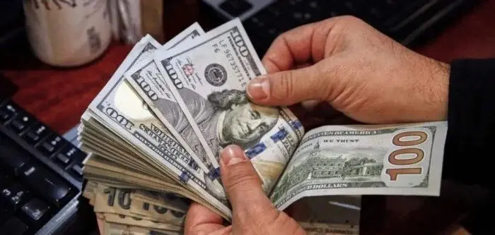 سعر الأخضر بنهاية تعاملات اليوم الجمعة 15 مايو 2026