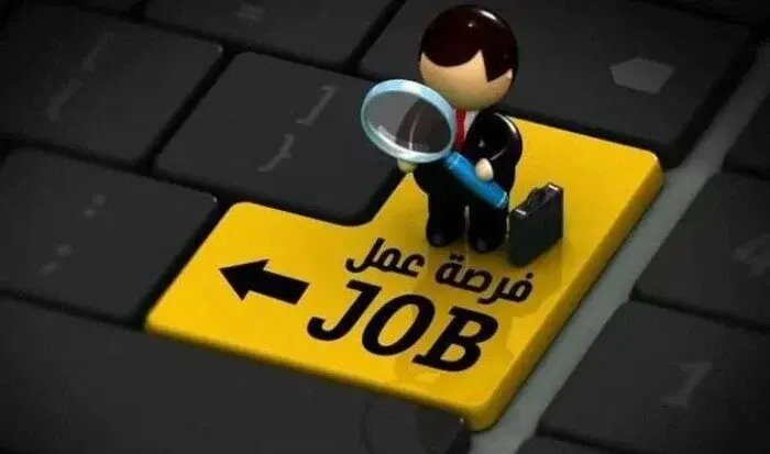 وظائف برواتب 20 ألف جنيه.. 11 فرصة عمل جديدة للشباب