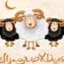 موعد وقفة عرفات وعيد الأضحى 2026
