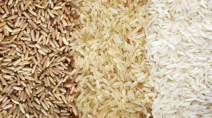 سعر طن الأرز الشعير والابيض اليوم