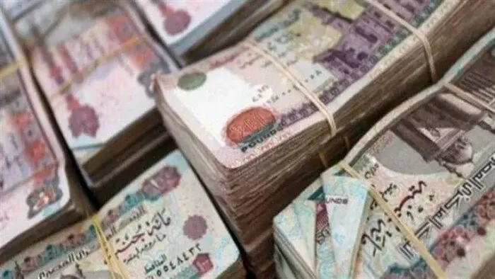 عائد 20.5% من شهادات البنوك.. كم تربح من 100 ألف جنيه؟