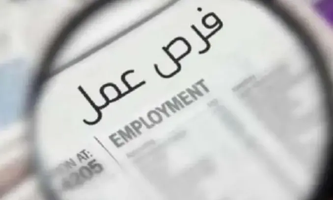 1275 وظيفة تنتظر الشباب فى 42 شركة خاصة بـ 9 محافظات