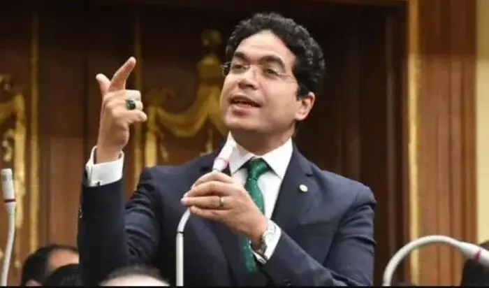 ضياء الدين : 7% من أرض مصر محل نزاع