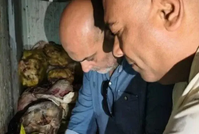 ضبط 20 طن لحوم فاسدة ومذبوحة خارج المجازر في القليوبية