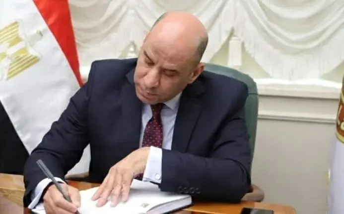 العمل عن بُعد بمصر.. قرارات جديدة لتنظيم «وظائف المنصات» وحماية حقوق العمال