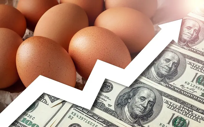 نظرة على أسعار الأعلاف في مصر اليوم الخميس 19 مارس 2026: ترقب وقلق في أوساط مربي الدواجن والماشية