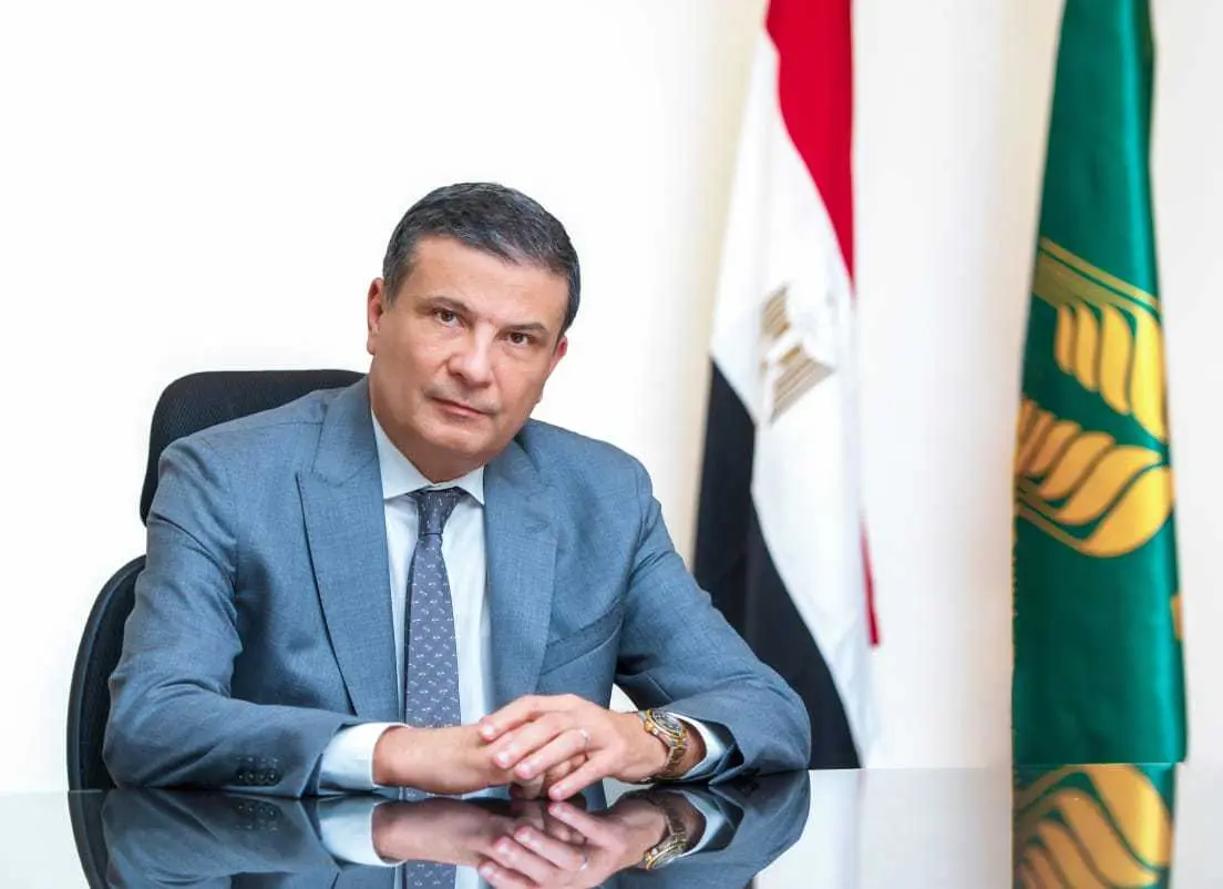 أسعار الأعلاف في مصر: ارتفاع مقلق يوم الأحد 24 مايو 2026 يضع مربي الدواجن والمواشي أمام تحديات كبرى