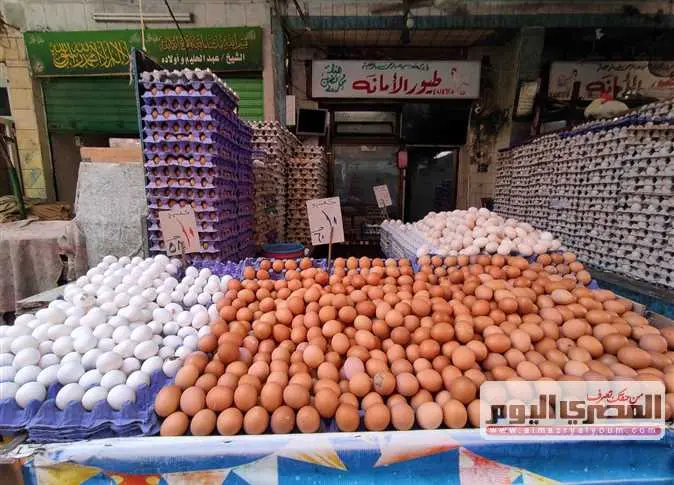 أسعار البيض اليوم الخميس 19 مارس 2026 في مصر: استقرار حذر يراقب الأسواق