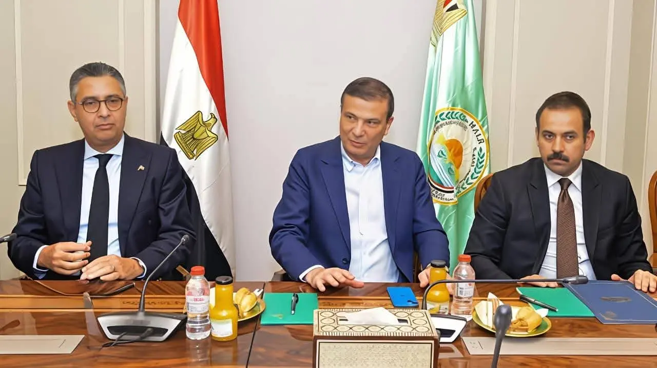 أسعار الكتاكيت اليوم: بورصة الكتاكيت اليوم الثلاثاء 7 أبريل 2026: استقرار حذر وتوقعات بمستقبل السوق