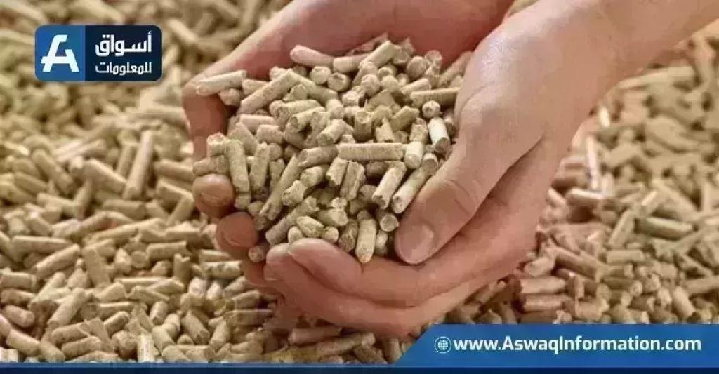 نشرة أسعار الأعلاف اليوم الثلاثاء 3 مارس 2026: تحليل تفصيلي لأسواق الدواجن والمواشي مع توقعات الخبراء