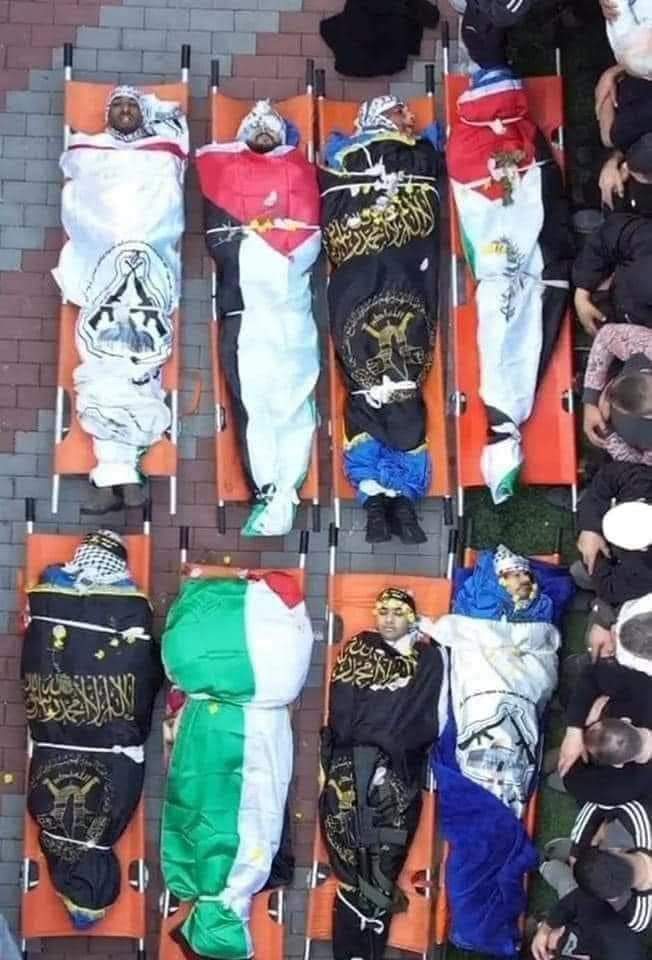 مصر تدين الإعتداء الإسرائيلي الغاشم على مخيم جنين الفلسطينى