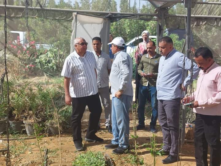 إزالة فورية لأى منشآت على الأراضى الزراعية.. بالوادى الجديد