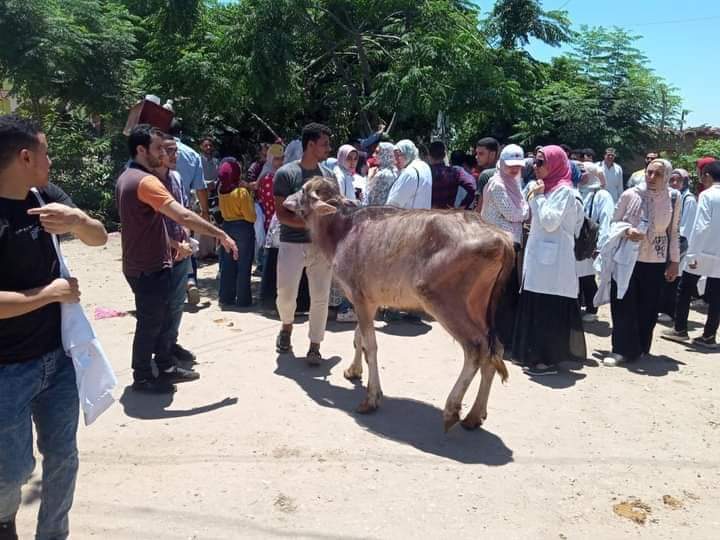 قافلة سكانية شاملة.. بقرية العلامية 