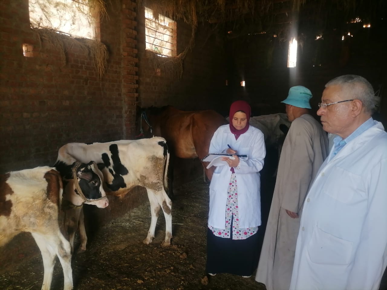 إنطلاق الحملة القومية للتحصين ضد الحمي القلاعية