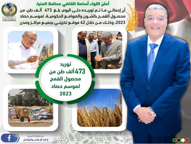 توريد 473 ألف طن قمح لشون المنيا 