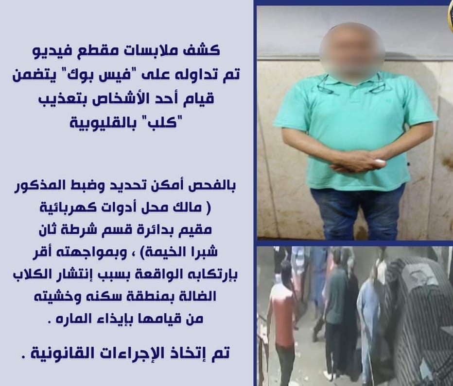 الكلاب.. ضحية الإنسان